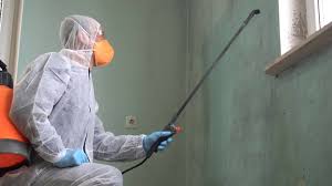 Best Asbestos and Lead Testing During Mold Inspection  in Verdigris, OK